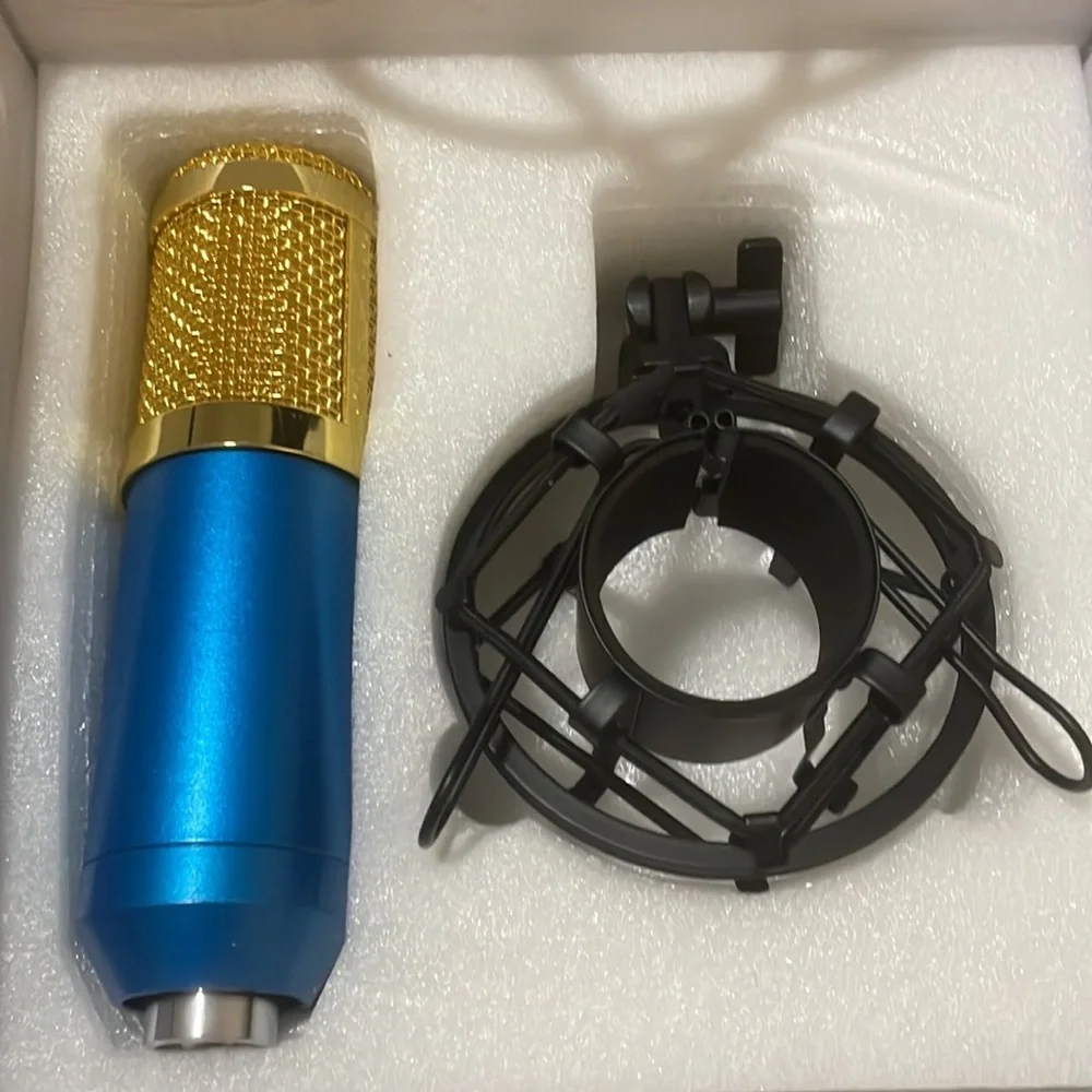 Cisno Professional Condenser Microphone